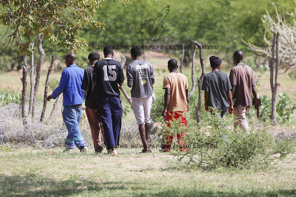  Left: A team of illegal miners find their way into the Mbada Diamond  Fields while others spend the better part of the day playing pool. The majority of the youths in and around the Chiadzwa mining area have resorted to illegal panning
