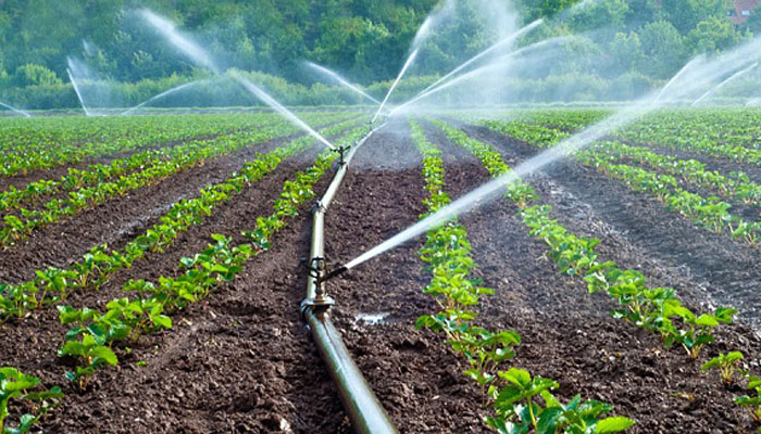 Irrigation to cover 420 000ha by next year