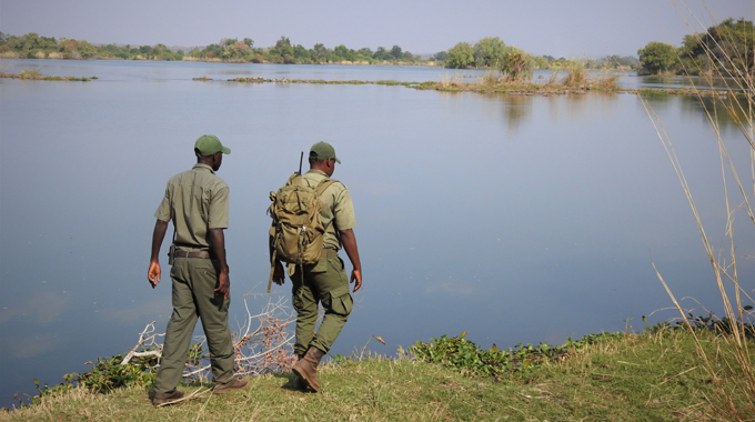 Five poachers gunned down